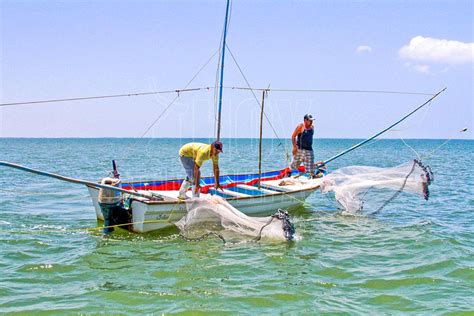 Hoy Tamaulipas Crecimiento De La Pesca En Mexico Se Basa