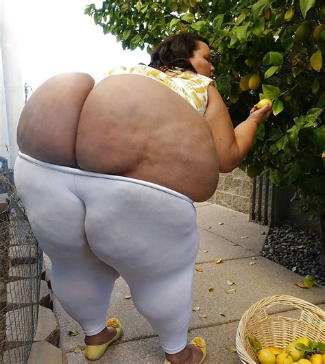 Bbw Pear Ass Tumblr Hot Sex Picture
