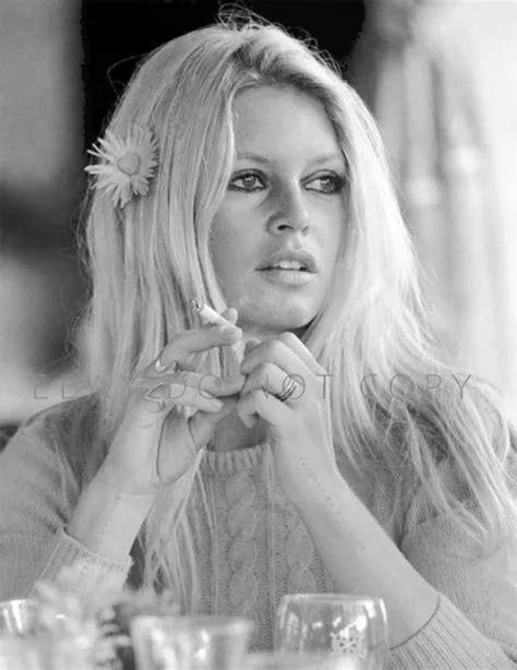 Brigitte Bardot S French Film Star Sex Symbol X Photograph V My Xxx Hot Girl