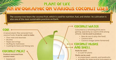 Coconut Uses Infographic