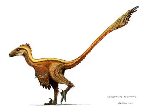 Deinonychus By Heaston 2011 Dinosaur Illustration Dinosaur
