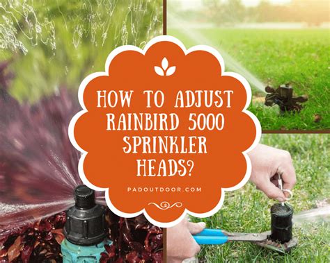 How To Adjust Rainbird 5000 Sprinkler Heads Pad Outdoor