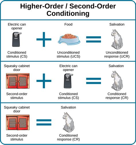 Classical Conditioning Psychology