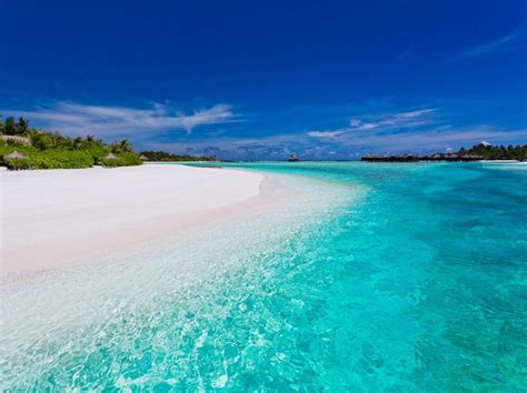 The specialists are trained to examine and treat from minor issues of a kidney to severe cases of cancer. Things to do in South Male Atoll | Well Known Places
