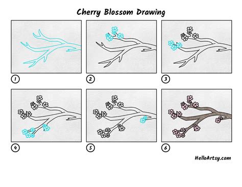 How To Draw A Cherry Blossom Tree Branch