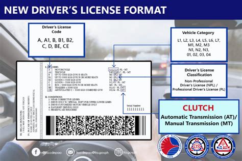 Dl Codes Lto Drivers License Restriction Codes Newstogov