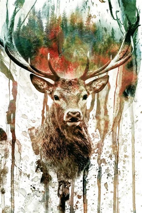 Deer I Canvas Wall Art By Riza Peker Icanvas