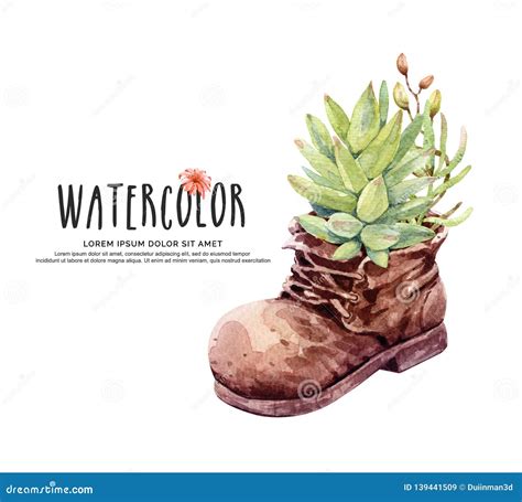 Watercolor Cactus Cacti In Leather Shoes Boots Stock Illustration