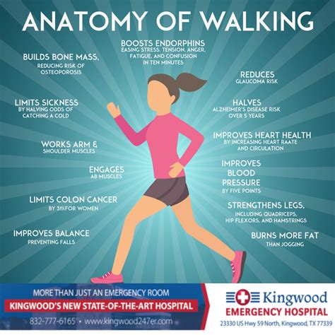 Walking Can Offer Numerous Health Benefits To People Of All Ages And