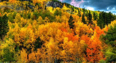 11 Colorful Autumn Drives In Colorado Top Places To See Fall Foliage