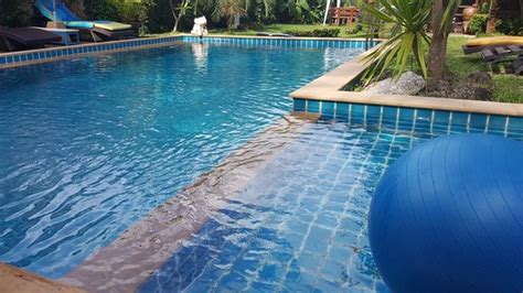 Large Pool 1 6M Deep Foto De Lemon Tree Naturist Resort Naiharn Beach