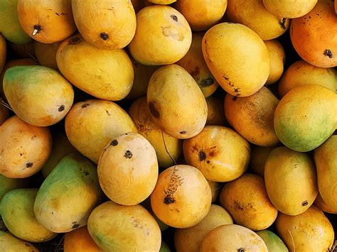 Mangoes Allergy How Mango Causes Rashes And Pimples And Affects Your
