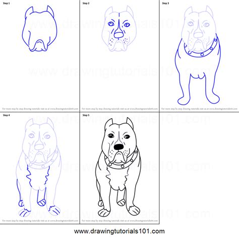 Pitbull Dog Drawing At Explore Collection Of