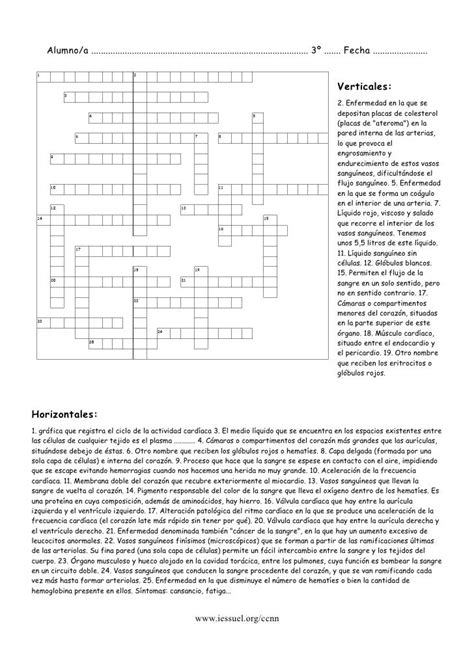 Crucigrama Del Sistema Circulatorio