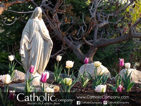 A Gorgeous Entry Into This Years Catholic Garden Photo Contest