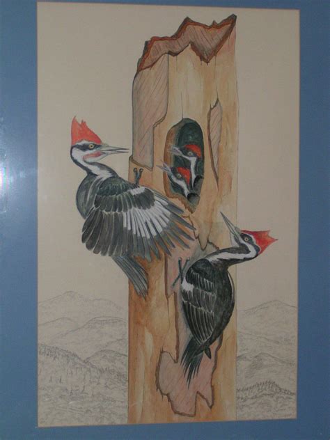 1982pileated Woodpeckers Watercolor On Board 165x26 Bird Artwork