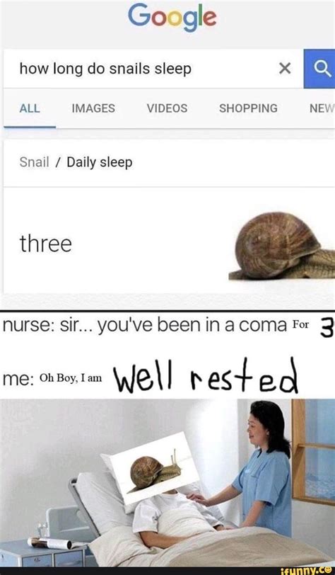 How Long Do Snails Sleep X E Snail Daily Sleep Three Ifunny