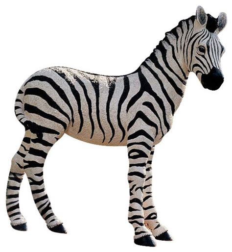 Freelance artist and pixel lover. Design Toscano - Zairen the Zebra Sculpture - View in Your ...