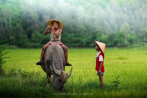 Hình ảnh Quê Hương đất Nước Con Người Việt Nam Tươi đẹp Photographer