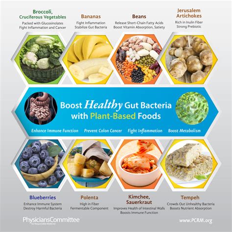 Boost Healthy Gut Bacteria With Plant Based Foods Pictures ...
