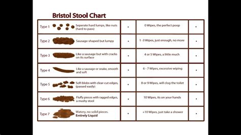 Bristol Stool Chart Youtube