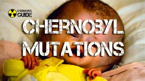 Chernobyl Animal Mutations Radiation Chernobyl Aftermath Animals Of