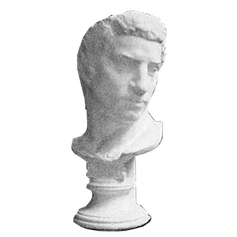 Brutus Bust Greek And Roman Busts Roman Busts Antique Stone Bust