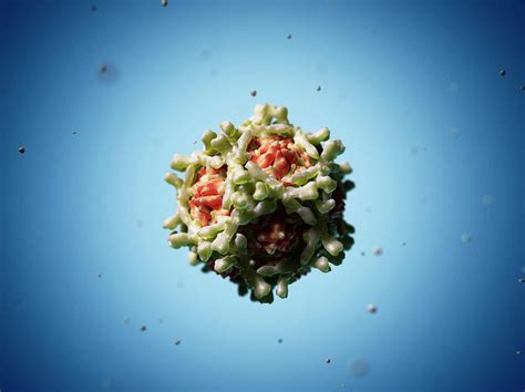 Echovirus Photograph By Scieproscience Photo Library Pixels