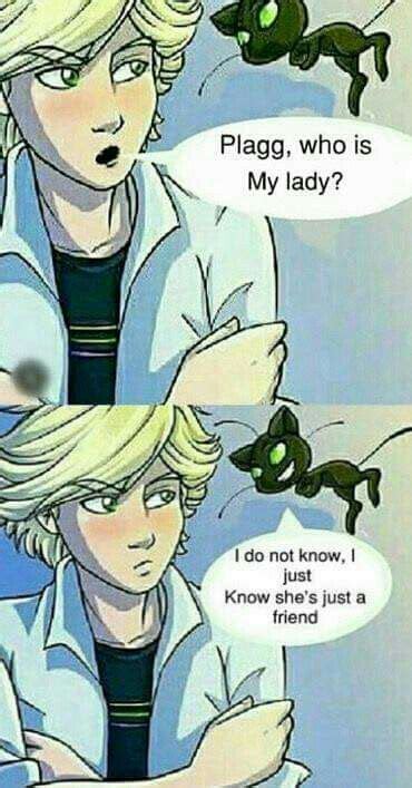 Memes De Miraculous 148 Miraculous Ladybug Anime Miraculous