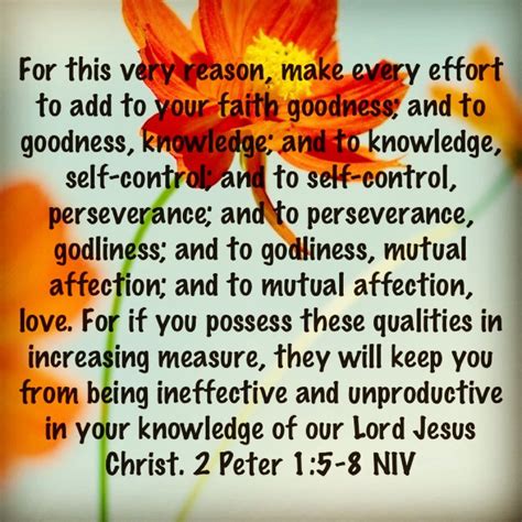 2 Peter 15 8 Niv Scripture Memorization Biblical Verses How To