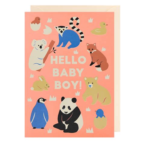 Baby Boy Animals Card The Red Door Gallery