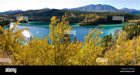 Emerald Lake At Carcross Yukon Territory Canada Stock Photo Alamy