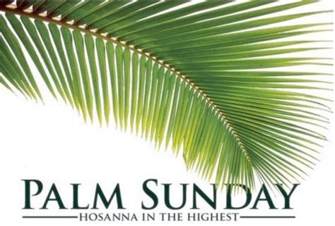 A special day that begins holy week.meditate on these 31 bible verses about palm sunday so that you can. happy-palm-sunday-bible-quotes