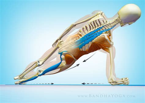 Muscle recruitment during side plank. The Daily Bandha: Connect Your Feet to Your Shoulders in ...