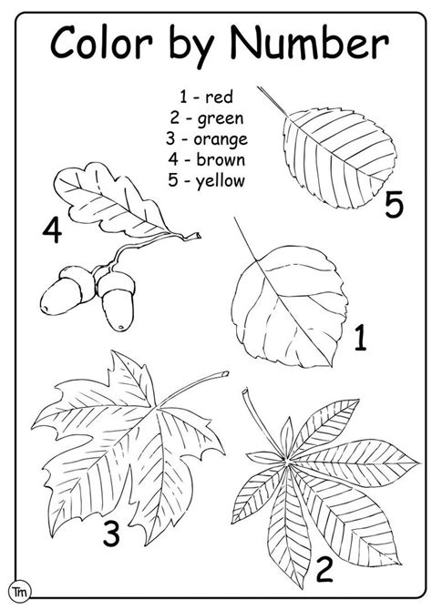 Fun Fall Leaf Craft Fall Worksheets Fall