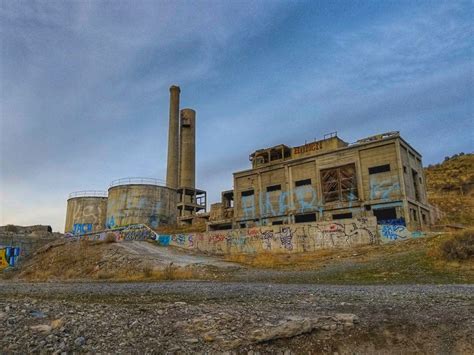 Lime Oregon https://greenlettuce.derelictonduty.com/lime-oregon