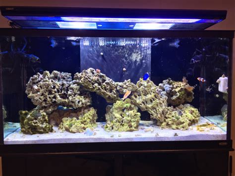 No.6 will only work to remove carbondioxide if you have low levels in the. HOW TO REMOVE GREEN HAIR ALGAE | REEF2REEF Saltwater and ...