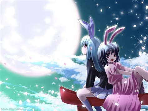 Two Female Anime Characters Hd Wallpaper Wallpaper Flare