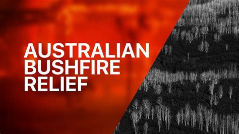 australian bushfire relief 2020 youtube