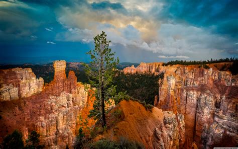 Bryce Canyon Wallpapers Wallpaper Cave