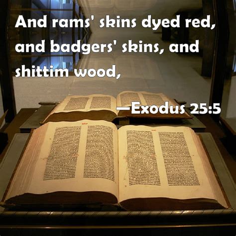 Exodus 255 And Rams Skins Dyed Red And Badgers Skins And Shittim Wood