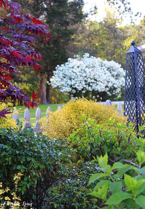 Slow and steady wins the race and the same rule applies when it comes to how to prepare for a power outage? Early Spring Garden