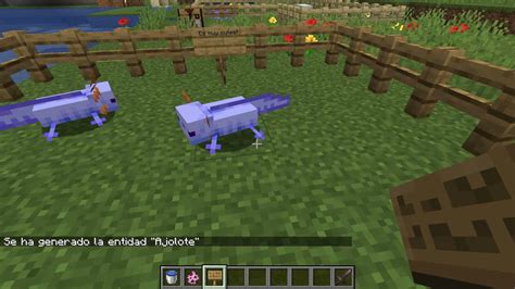 Como Spawnear Un Ajolote Azul En Minecraft Con Comandos Minecraft