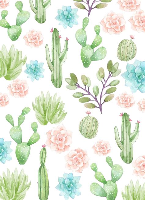 Cactus Iphone Wallpaper Wallpaper Hd