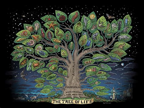 In tree of life you have to pave the way for you character in 26 levels. TREE OF LIFE T-SHIRT - Troll Art