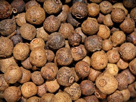 What Is Allspice What Can I Substitute For It Culinarylore