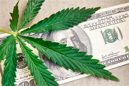 Marijuana Pot Money Stoner Colorado Shutterstock Westword