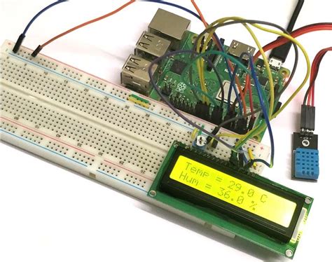 Interfacing Dht11 Sensor With Raspberry Pi And Lcd Vrogue