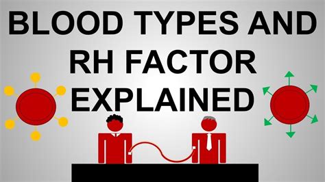 Blood Types And Rh Factor Explained Youtube