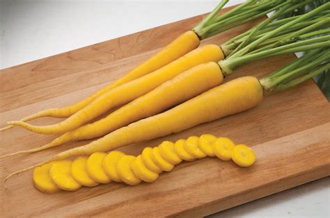 Sunburst Yellow Carrot Seeds Golden Carrots Parsnips Solar Etsy